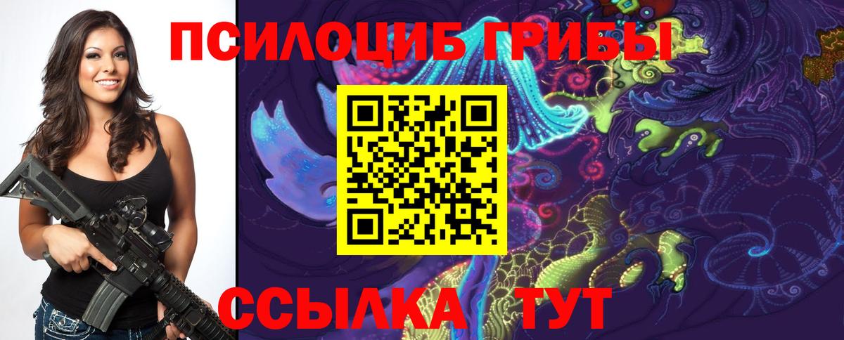Галлюциногенные грибы мицелий Верхняя Пышма